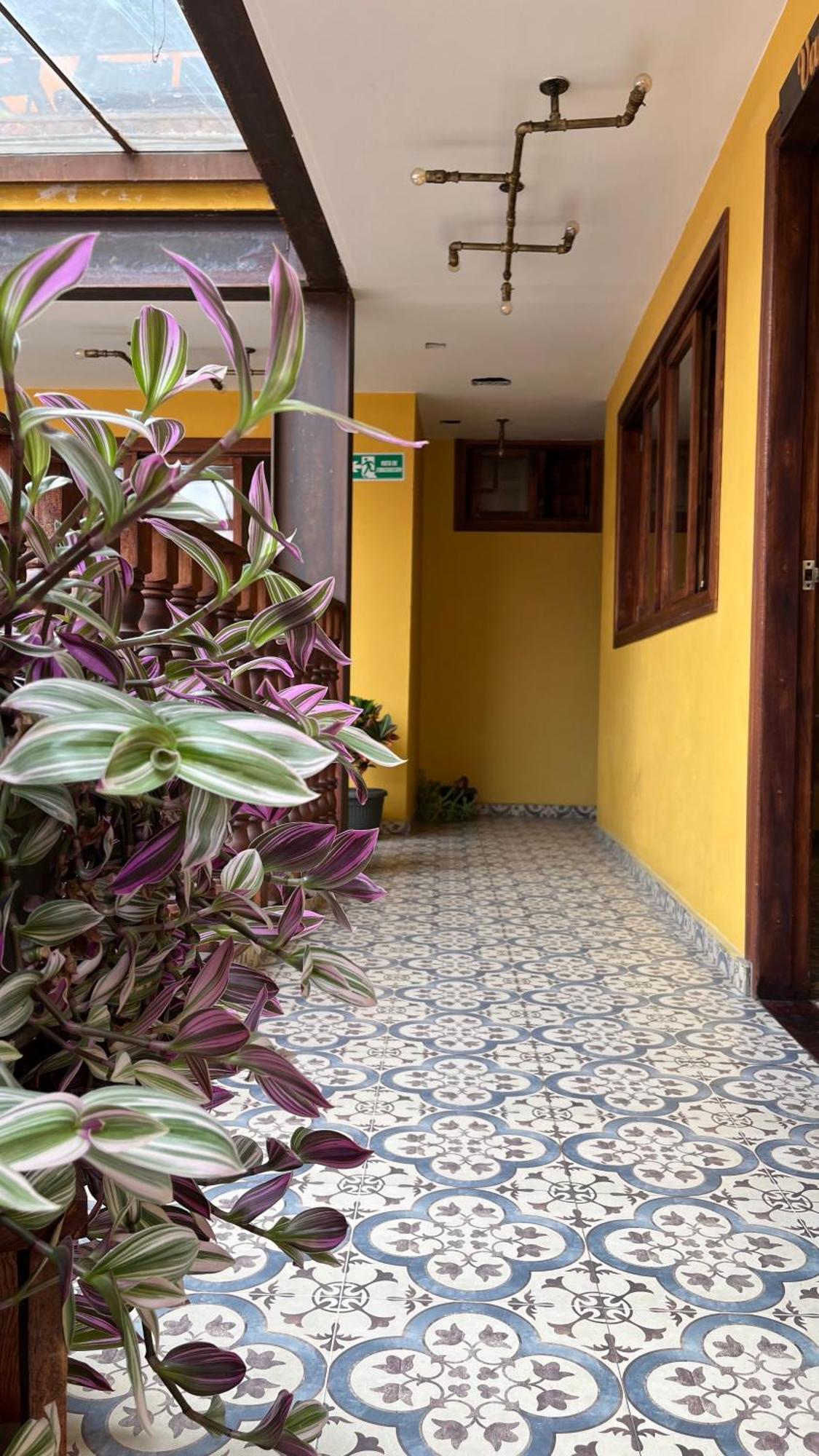 Hostal Casa Astromelia Bogotá Exteriör bild